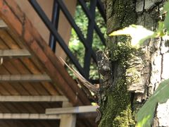 -北京山里寒舍度假酒店
