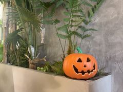 -地二手作鱼汤馄饨(上街里店)