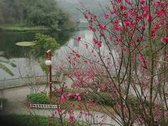 -重庆彩云湖湿地公园