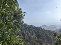 -青城山