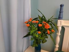 -循礼门鲜花花市(武汉循礼门店)