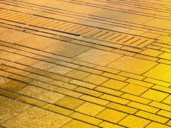 -三里屯东五街银杏大道