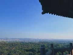 -灵谷景区