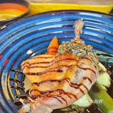 长宁区漂亮饭！美美花墙🌷常聚bistro又多