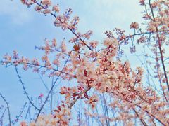 -渭南桃花源民俗文化园