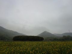 -八卦田遗址公园