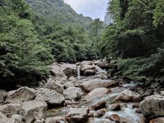 -青峰峡国家森林公园