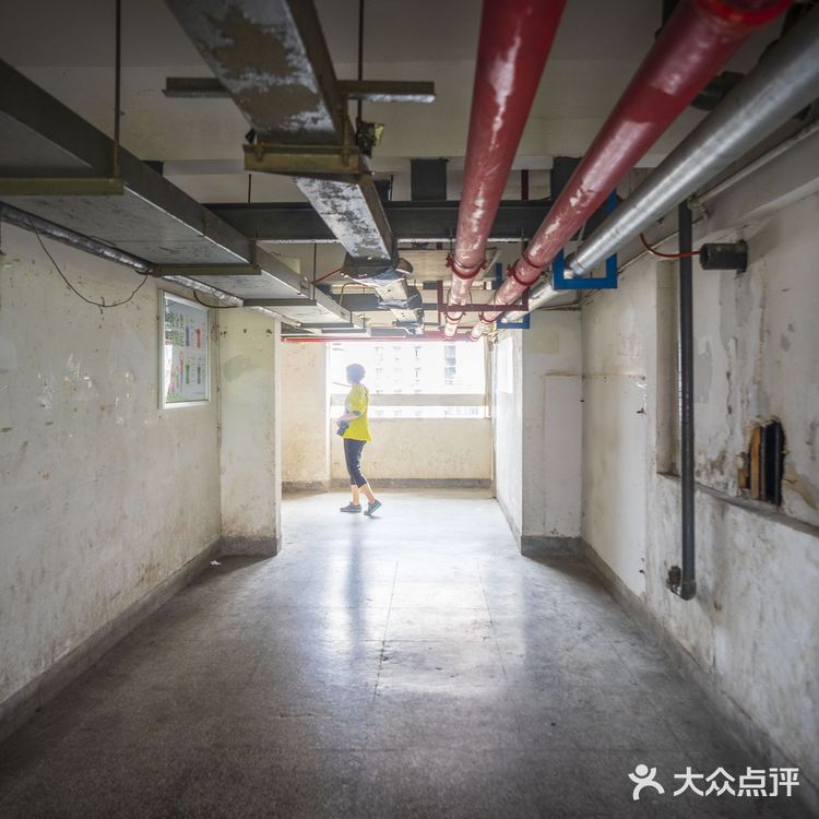 重庆旅行4—白象居