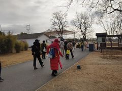 -嘉北郊野公园