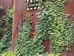 -外婆家(杭州马塍店·杭帮菜名店)