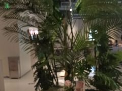 -卡朋西餐(悦汇城店)