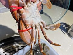 -蓝珊甄选海鲜自助·火锅大排档(近阿那亚店)