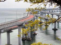 -星海湾跨海大桥