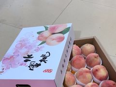 -老袁家蜜桃农场·阳山水蜜桃