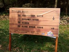 -南宁花花大世界景区