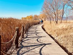 -野鸭湖国家湿地公园