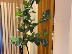 -鼎族怡华·指压·油压·经络(西单昌盛大厦店)