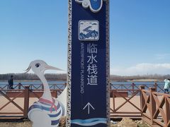 -丁香湖公园