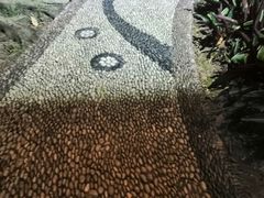 -东风公园