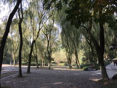 -柳浪闻莺公园