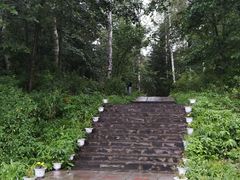 -五营红松林海景区