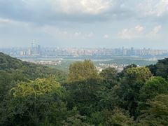 -岳麓山风景名胜区