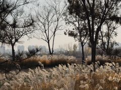 -汉长安城未央宫国家考古遗址公园