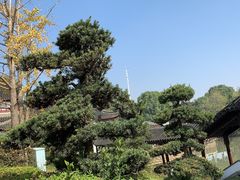 -八大山人梅湖景区