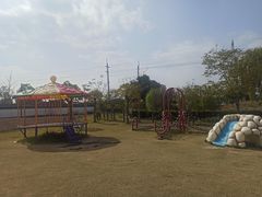 -菊园百果园