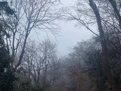 -紫金山山顶公园
