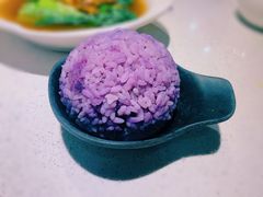 紫薯饭-新仙清汤牛腩(铜锣湾店)