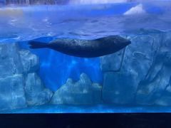 -多彩贵州城极地海洋世界