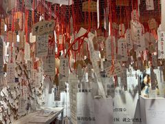 -厦门失恋博物馆(中华城店)