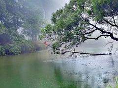 -玉苍山国家森林公园