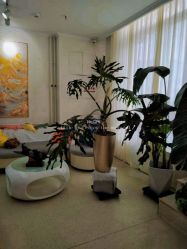 -黎蓓露·徒手骨雕蛋白抗衰·调肤管理