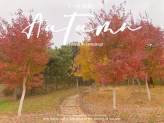 -北京西山国家森林公园