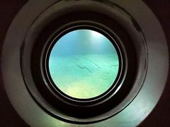 -白鹤梁水下博物馆