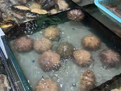 -小铜锣湾海鲜家常菜馆(河西店)