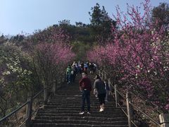 -天台山赤城山景区