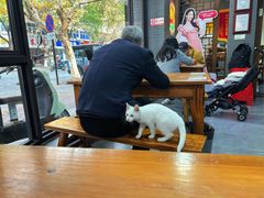 -杭嘉湖咬强羊肉面馆(永兴路总店)