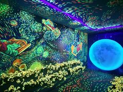 -梵高星空艺术馆(北京旗舰店)