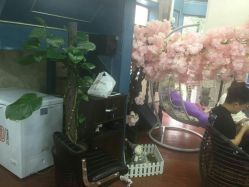-Hair Glam 格拉姆造型旗舰店