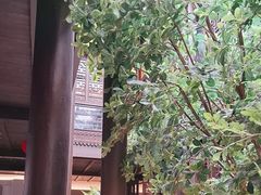 -狮王府淮扬菜(夫子庙老门东店)