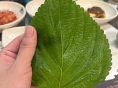 -朴大人炭烤·韩国料理(奥帆中心海尔洲际店)