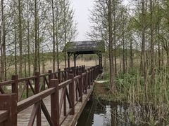 -同里国家湿地公园