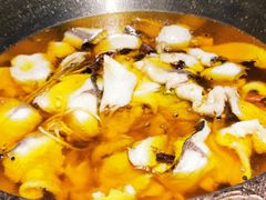 -雲蜀龙阁·金牌水煮鱼(方庄店)