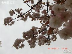 -苏州太湖西山岛开心农场