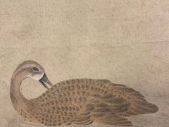 -六出私塾LiuChu•成人美术书法系统课程专业画室(熊婆婆的花园店)