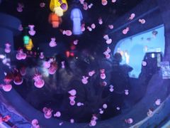 -太平洋海底世界