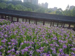 -龙头寺公园